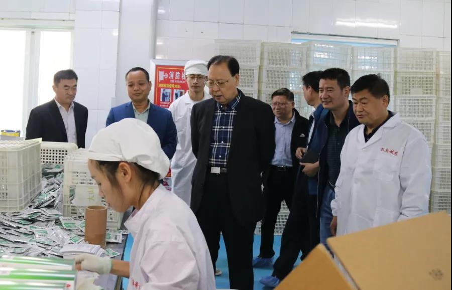 董事长秦裕彦到华体网调研指导工作.jpg